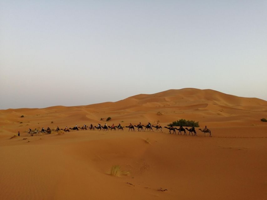 Marrakech to Merzouga Desert: A Private 2-Day Tour - The Desert Arrival: A Dune Wonderland