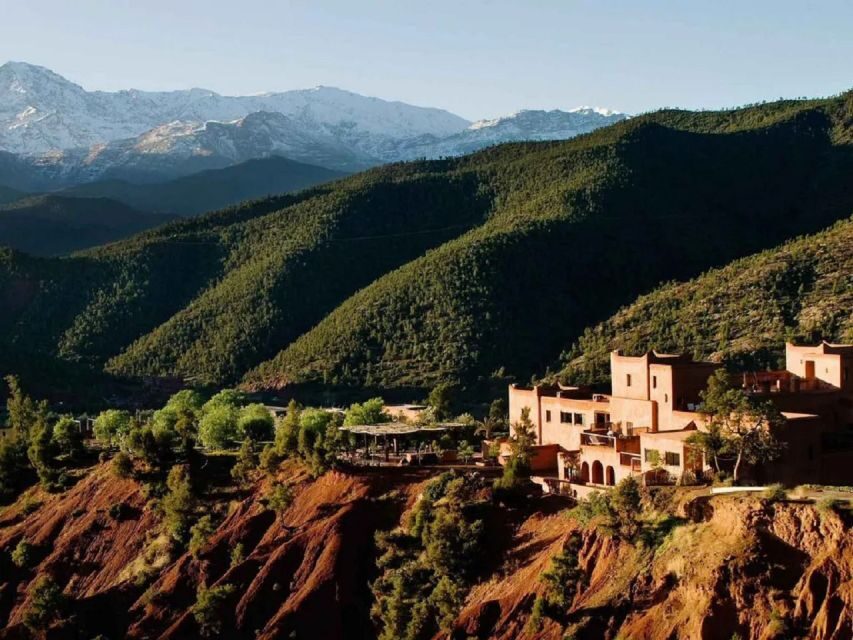 Marrakech to Ourika Valley Day Tour and Anima Garden Visit - What to Expect from This Full-Day Tour