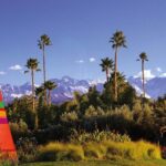 Marrakech Tour Gardens Majorelle, Menara & Anima Gardens - Who Would Love This Tour?
