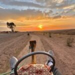 Marrakech: Waterfall, Valley, Atlas Mountain, Camel & Desert - Transport, Timing, and Value