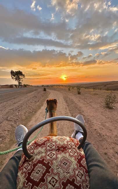 Marrakech: Waterfall, Valley, Atlas Mountain, Camel & Desert - Transport, Timing, and Value
