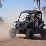 Marrakech:Activities Quad bik/Buggy/Camel at the palm grove - The Itinerary and What You Can Expect