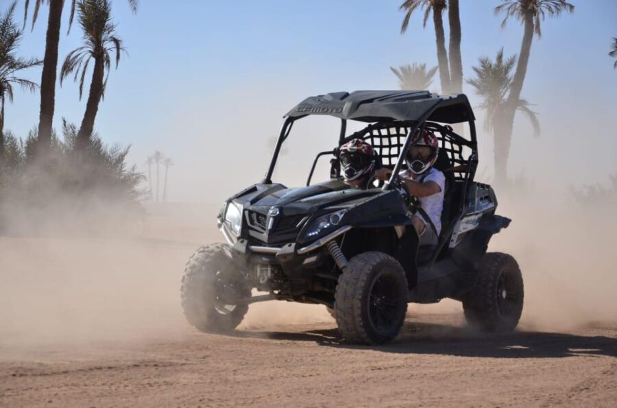 Marrakech:Activities Quad bik/Buggy/Camel at the palm grove - The Itinerary and What You Can Expect