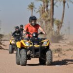 Marrakech:excursion quad in Oasis palm & jbilat desert,tea - Why This Tour Offers Great Value
