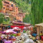 Marrakech's Atlas Adventures Ourika valley & Savory Lunch - The Itinerary: What to Expect on Your Day in Ourika Valley