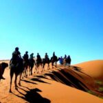 Marrakesh: 3 Days Sahara Tour To Merzouga Desert & Camping - Transport, Guides, and Comfort
