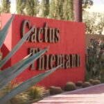 Marrakesh: Cactus Thiemann Entry Ticket - The Significance of the Collection