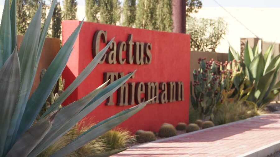 Marrakesh: Cactus Thiemann Entry Ticket - The Significance of the Collection
