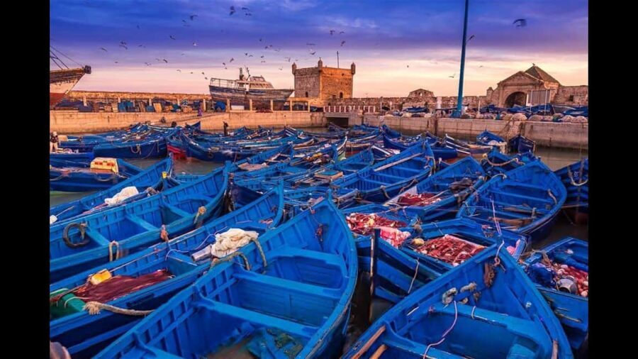 Marrakesh to Essaouira: Small-Group Day Trip & Cooperatives - The Transport and Group Size