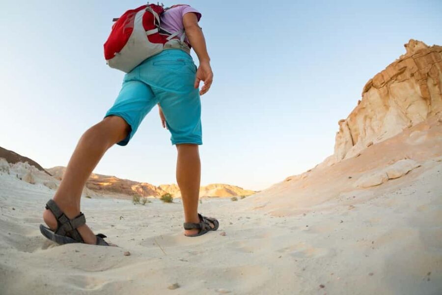 Marsa Alam Bedouin Nights: Jeep Safari, Dinner & Stargazing - The Experience’s Value