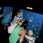 Marsa Alam: Nefertari Cruise with Snorkeling & Lunch/dinner - Logistics & Practical Tips