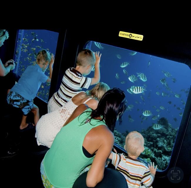 Marsa Alam: Nefertari Cruise with Snorkeling & Lunch/dinner - Logistics & Practical Tips