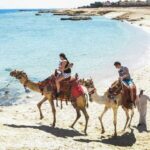 Marsa Alam: Sea and Desert Camel Riding Tour - Practical Tips for Your Camel Ride