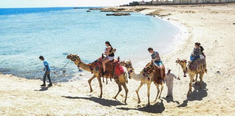 Marsa Alam: Sea and Desert Camel Riding Tour - Practical Tips for Your Camel Ride