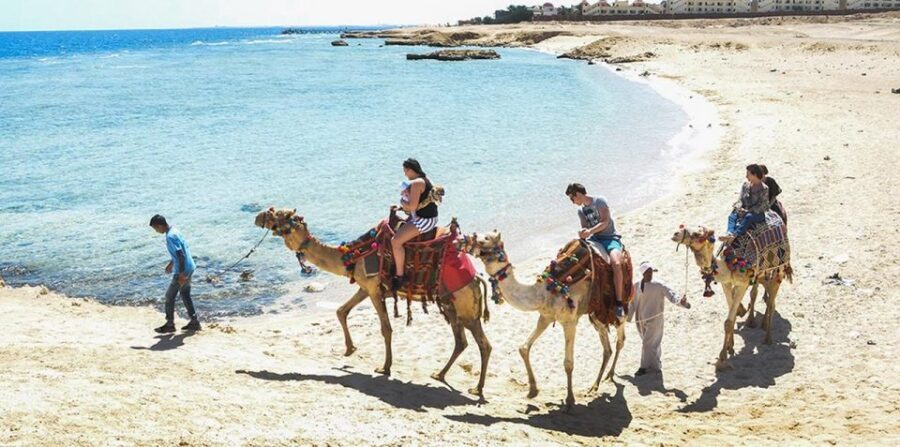 Marsa Alam: Sea and Desert Camel Riding Tour - Practical Tips for Your Camel Ride
