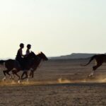 Marsa Alam: Sea and Desert Horse Riding Tour - The Ride Options and What They Offer