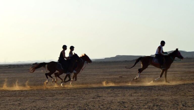 Marsa Alam: Sea and Desert Horse Riding Tour - The Ride Options and What They Offer