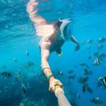 Marsa Alam:Sataya Reefs Dolphin Snorkeling Cruise with Lunch - Who Will Love This Tour?