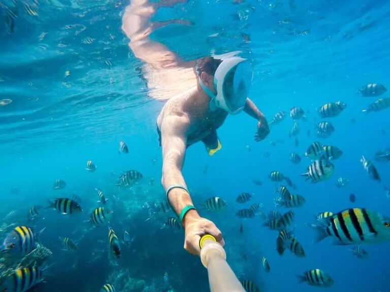 Marsa Alam:Sataya Reefs Dolphin Snorkeling Cruise with Lunch - Who Will Love This Tour?