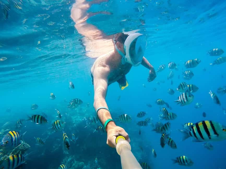 Marsa Alam:Sataya Reefs Dolphin Snorkeling Cruise with Lunch - Who Will Love This Tour?