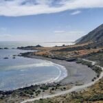 Martinborough Wine and Wild Coast Tour from Wellington - Real Insights from Reviewers