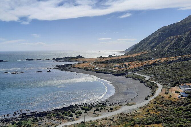 Martinborough Wine and Wild Coast Tour from Wellington - Real Insights from Reviewers