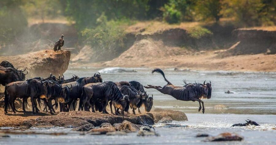 Marvelous 5-day Serengeti National Park to Ngorongoro Crater - The Itinerary: What You Can Expect