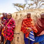Masai Cultural Village Day Tour With Traditional Dance Show - Summary: Who Is This Tour Best For?