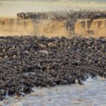Masai Mara 3-day Camping Safari by 4x4 Land Cruiser Jeep - What’s Included and What’s Not