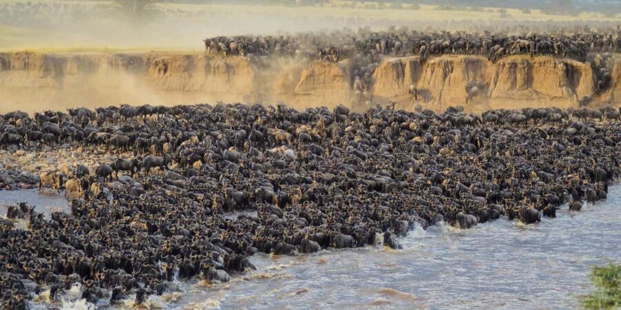 Masai Mara 3-day Camping Safari by 4x4 Land Cruiser Jeep - What’s Included and What’s Not