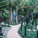 Matakana Art & Wine Village Private Tour - The Practical Details