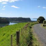 Matakana Scenic Coastal Getaway from Auckland - Key Points