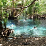 Materuni Waterfalls and Chemka Hot Springs Day Trip - The Authentic Touch & Traveler Insights