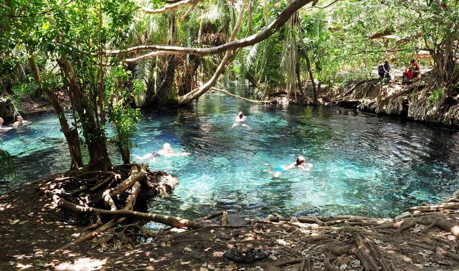 Materuni Waterfalls and Chemka Hot Springs Day Trip - The Authentic Touch & Traveler Insights