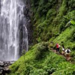 Materuni Waterfalls, Chemka Hot Springs, &/Or Coffee Tour - The Bottom Line: Who Is This Tour Best For?