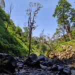 Materuni Waterfalls, Chemka Hot Springs, &/Or Coffee Tour - Authentic Experiences That Leave a Lasting Impression