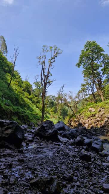 Materuni Waterfalls, Chemka Hot Springs, &/Or Coffee Tour - Authentic Experiences That Leave a Lasting Impression