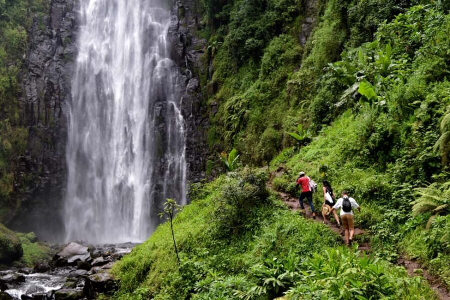 Materuni Waterfalls, Chemka Hot Springs, &/Or Coffee Tour - The Bottom Line: Who Is This Tour Best For?