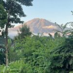 Materuni Waterfalls : Coffee Farm, and Hot Springs Day Trip - What’s Included and What’s Not