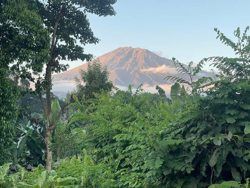 Materuni Waterfalls : Coffee Farm, and Hot Springs Day Trip - What’s Included and What’s Not