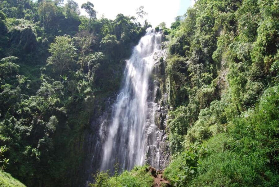 Materuni Waterfalls, Coffee & Hot Springs Day Tour - Practicalities and Tips for Your Tour