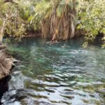 Materuni Waterfalls, Coffee tour, Hot Springs & Maasai Villa - Transportation, Timing, and Practicalities
