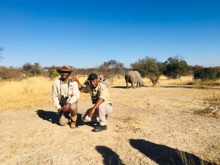 Matobo Hills Day Trip with Rhino Tracking - Exploring Bushmen Paintings and Ancient Sites