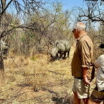 Matobo White Rhino Experience - Discovering the Matobo White Rhino Experience