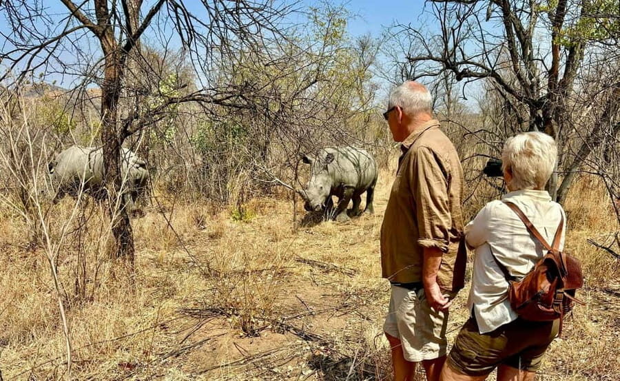 Matobo White Rhino Experience - Discovering the Matobo White Rhino Experience