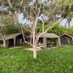 Maun: 6-Day Okavango, Savuti, Chobe &Victoria Falls Tour - Practical Considerations for Travelers