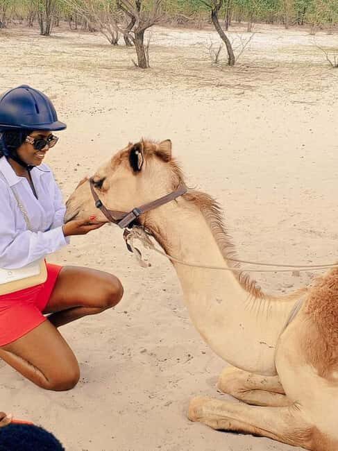 Maun, Botswana: Safari Camel Adventure - Why This Tour Offers Great Value