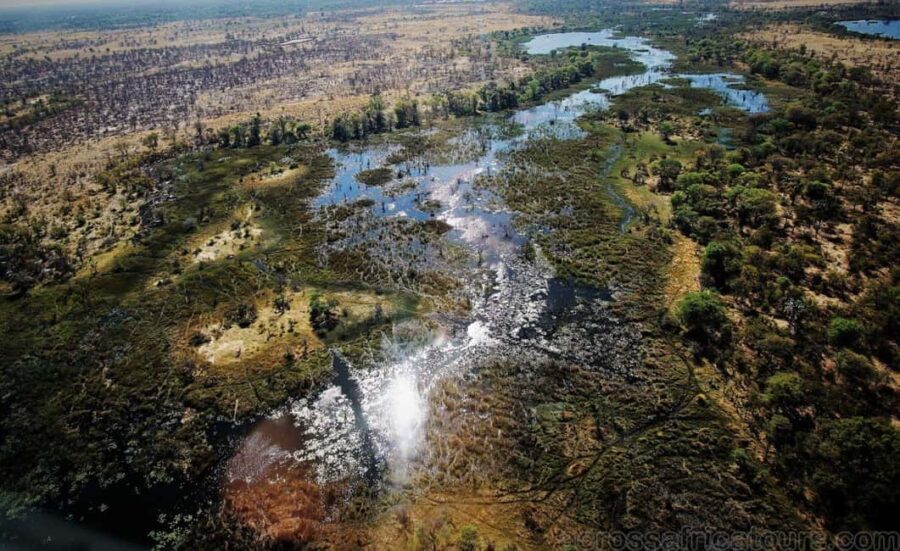Maun Highlights Safari 3 Days/2 Nights - What Makes This Tour Valuable?