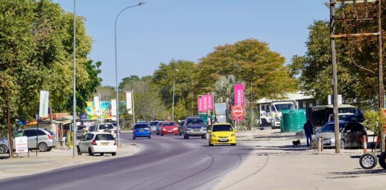 Maun: Town Tour with Local Guide & Traditional Food Tasting - What Makes This Tour Stand Out?