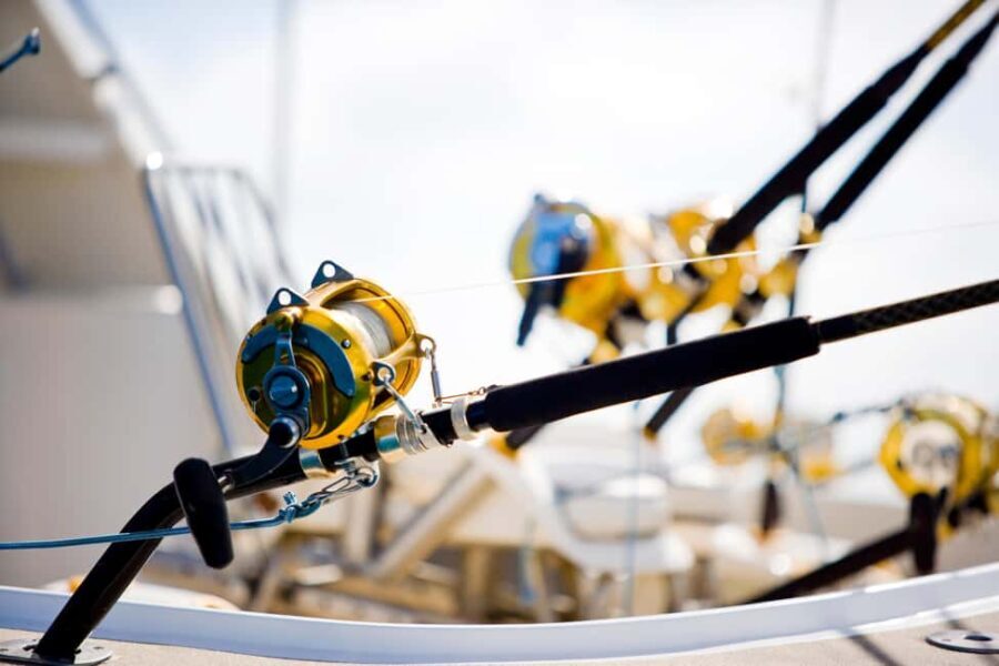 Mauritius: Big Game Fishing Trip from Grand Baie - An Authentic Big Game Fishing Experience in Mauritius